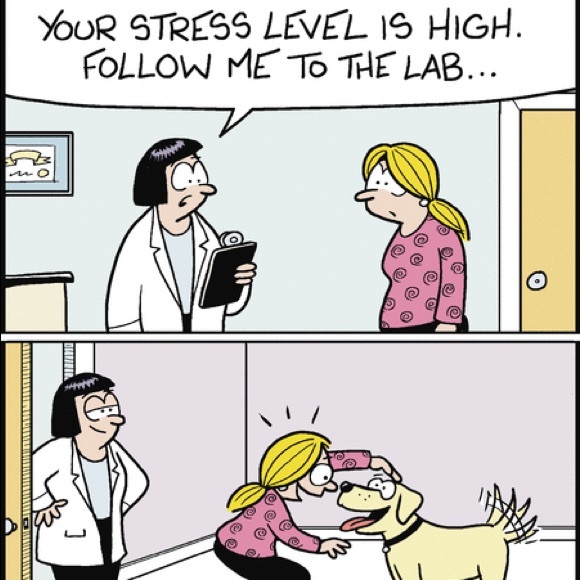 Posh Ambassador, Natasha 😉❤️🙌🏼🐶 - Picture 4 of 7